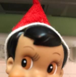 Meet your Posher, Chrissy